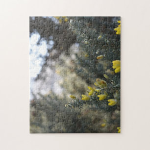 Puzzle Fleurs du début du printemps à Hyde Park, Londres