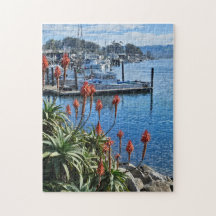 Fleurs et bateaux sur la côte