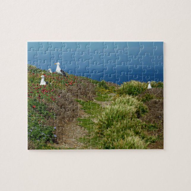 Puzzle Fleurs et mouettes sur l'île d'Anacapa (Horizontal)