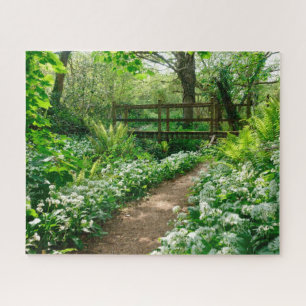 Puzzle Fleurs   Fleurs sauvages blancs en forêt