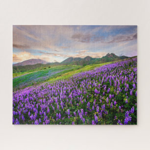 Puzzle Fleurs Fleurs sauvages californiens
