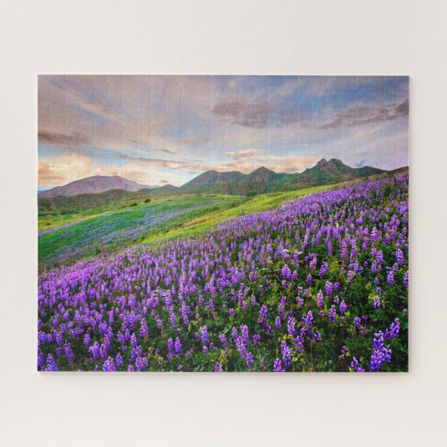 Puzzle Fleurs | Fleurs sauvages californiens (Horizontal)