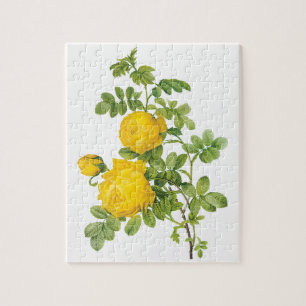Puzzle Fleurs florales vintages, Roses jaunes de Redoute