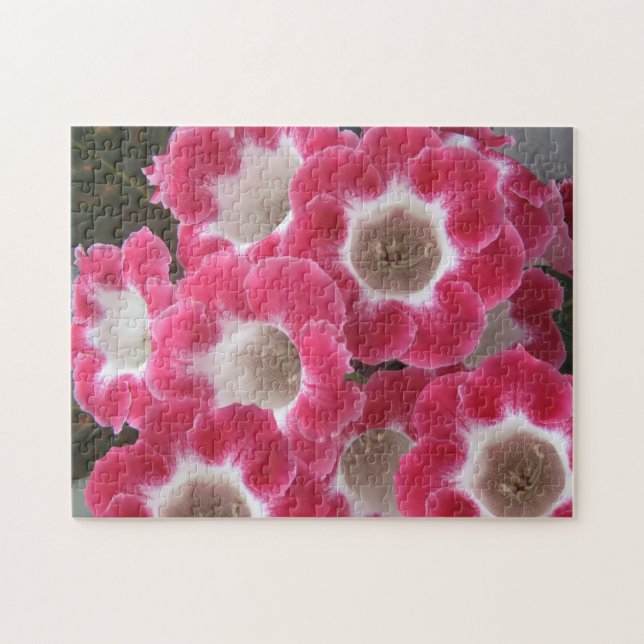 Puzzle Fleurs gloxiniques rouges et blanches. (Horizontal)