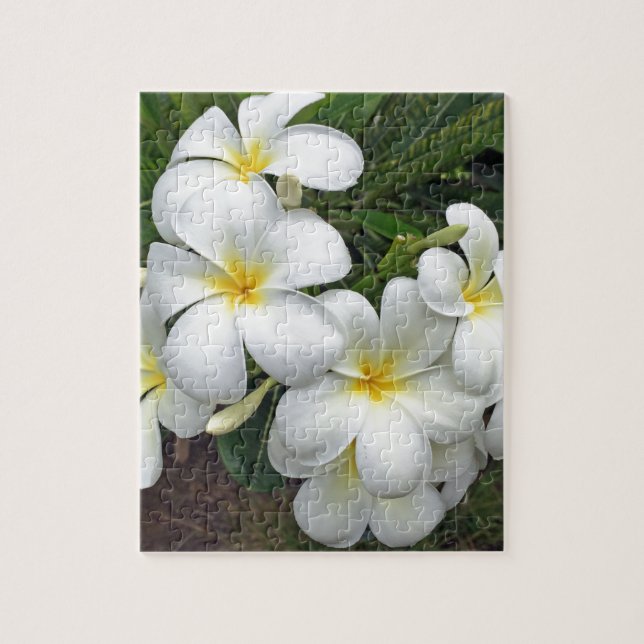 Puzzle Fleurs Hawaii Plumeria (Vertical)