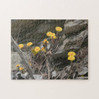 Puzzle Fleurs Jaunes Dans La Peinture À L'Huile De Roches