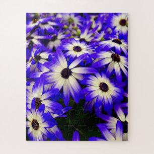Puzzle Fleurs numériques bleues et blanches