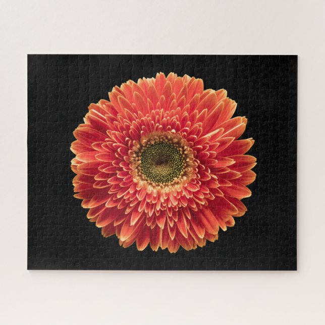 Puzzle Fleurs | Orange Gerbera Daisy (Horizontal)