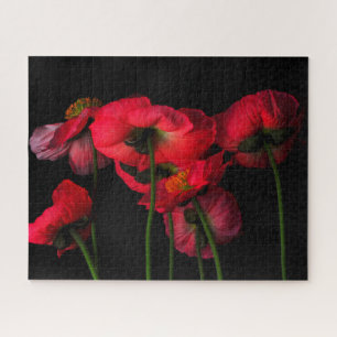 Puzzle Fleurs   Poppies rouges