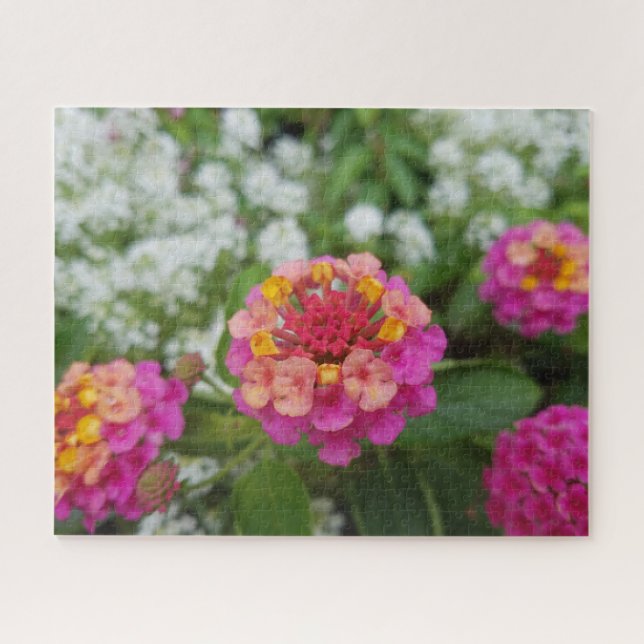Puzzle Fleurs rose jaune et blanche dans le jardin (Horizontal)