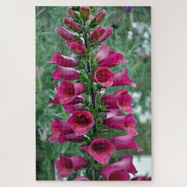Puzzle Fleurs roses de renard (Vertical)