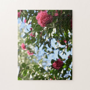 Puzzle Fleurs roses Photographie de la nature Jardin angl