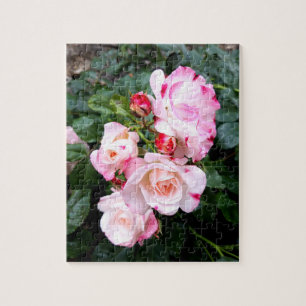Puzzle Fleurs roses, Roses blanches rouges roses