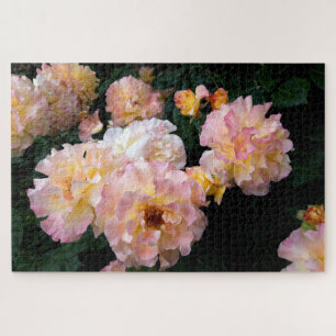 Puzzle Fleurs roses, Roses Jaunes Rose