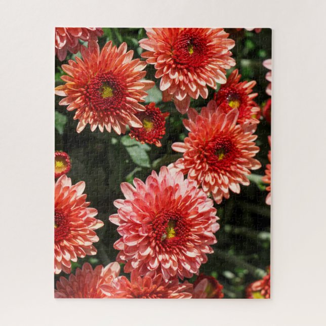Puzzle Fleurs rouges de chrysanthème (Vertical)