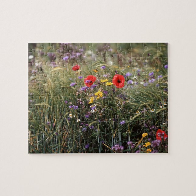 Puzzle Fleurs sauvages (Horizontal)
