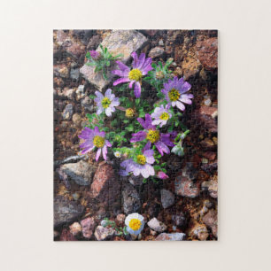 Puzzle Fleurs sauvages