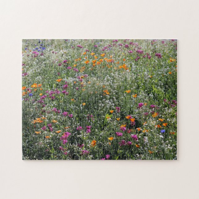 Puzzle Fleurs sauvages (Horizontal)