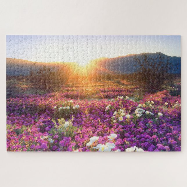 Puzzle Fleurs sauvages au coucher du soleil | Anza-Borreg (Horizontal)