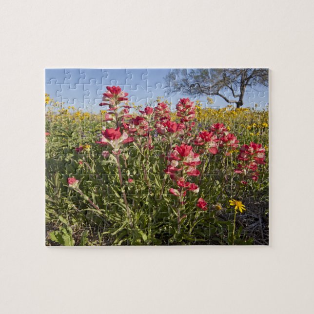 Puzzle Fleurs sauvages de bord de route en Texas, printem (Horizontal)