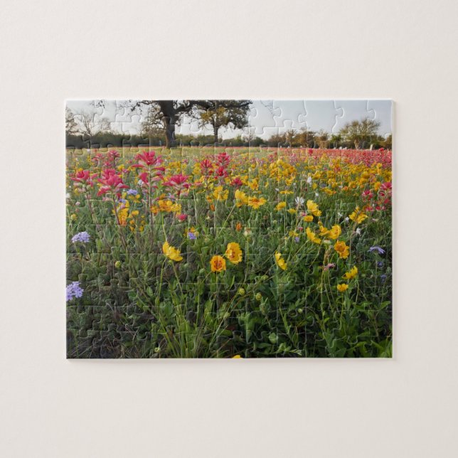 Puzzle Fleurs sauvages de bord de route en Texas, printem (Horizontal)