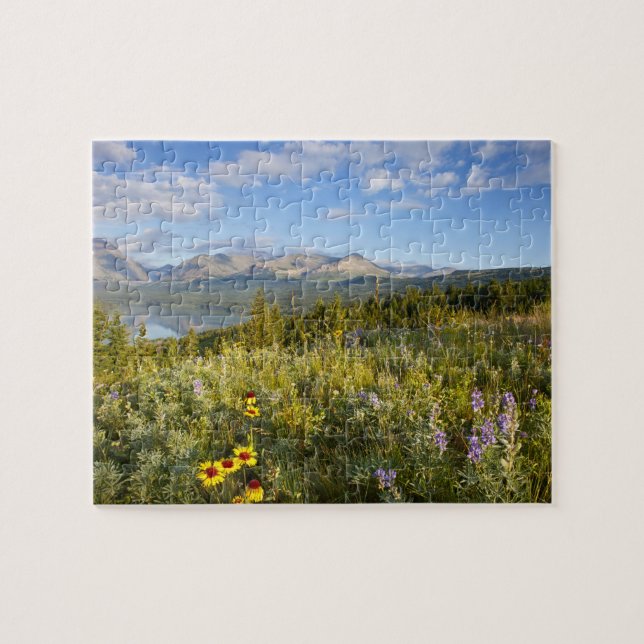 Puzzle Fleurs sauvages de la prairie et lac Lower Two Med (Horizontal)