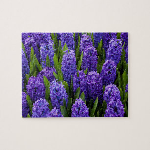 Puzzle Fleurs sauvages de violette Hyacinth