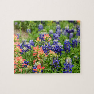 Puzzle fleurs sauvages du Texas Bluebonnets et des pincea