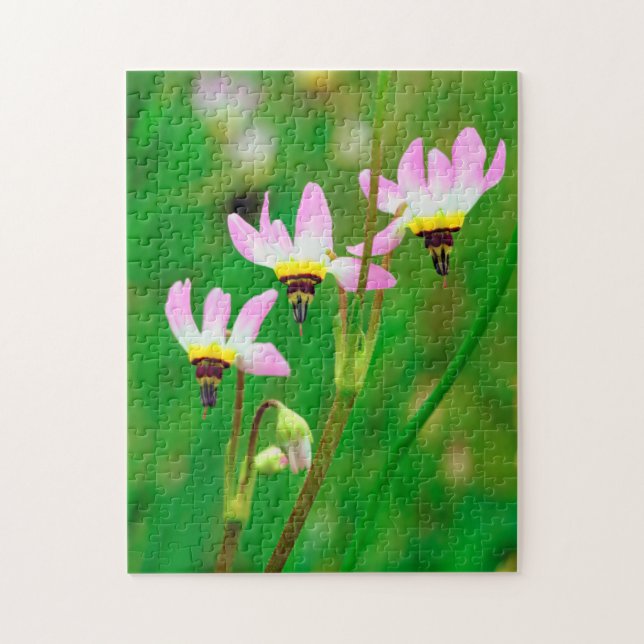 Puzzle Fleurs sauvages Shooting Star dans le parc Mission (Vertical)