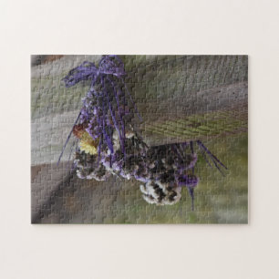 Puzzle Fleurs séchées sur une poutre en bois Flore Nature