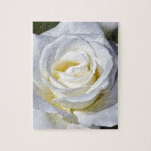 Puzzle Fleurs simples de rose blanc