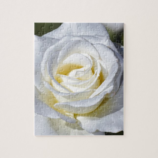 Puzzle Fleurs simples de rose blanc (Vertical)