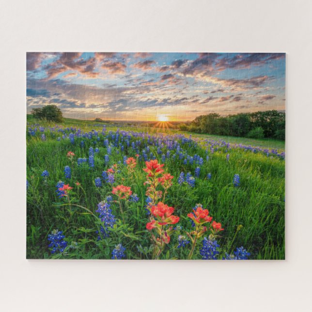 Puzzle Fleurs | Texas Bluebonnets & Indian Paintbrush (Horizontal)