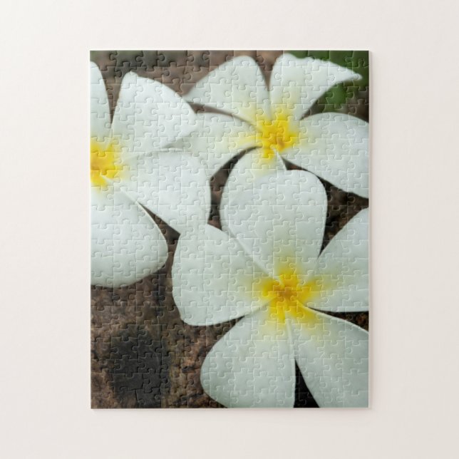 Puzzle Fleurs Tropicales Adorables Dans Le Pacifique Sud (Vertical)
