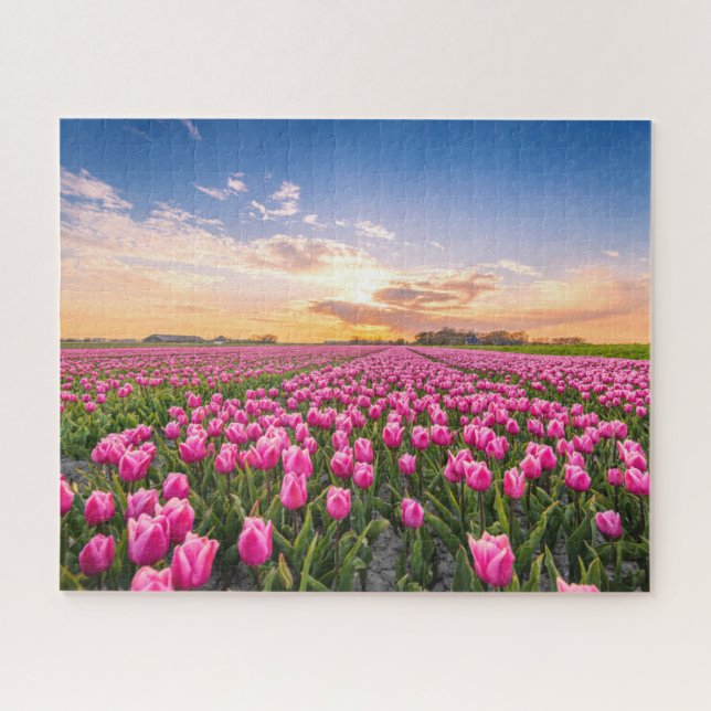 Puzzle Fleurs | Tulips Holland Sud, Pays-Bas (Horizontal)