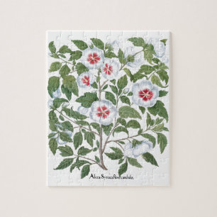 Puzzle Fleurs vintages d'Hibiscus par Basilius Besler