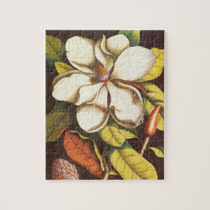 Puzzle Fleurs vintages Magnolia Plante Avec Graines