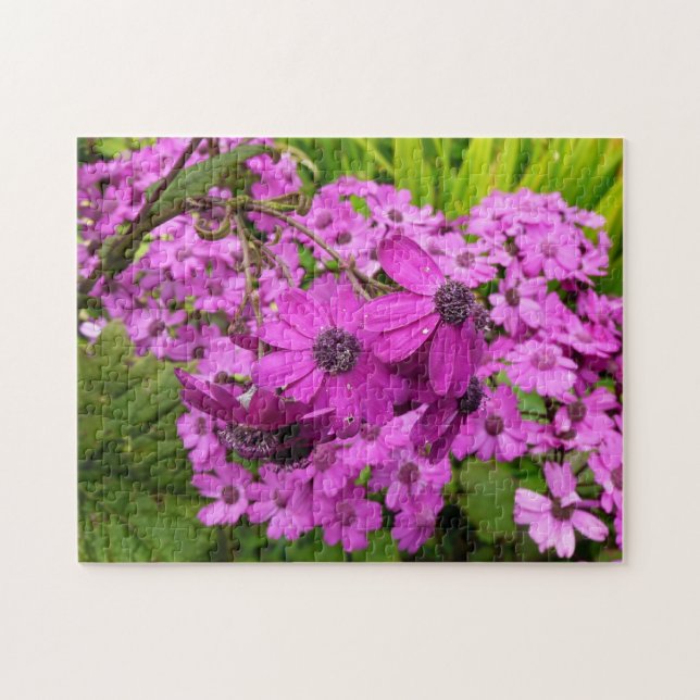 Puzzle Fleurs violettes de San Francisco (Horizontal)