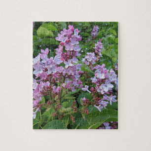 Puzzle Fleurs violettes délicates d'un lilas