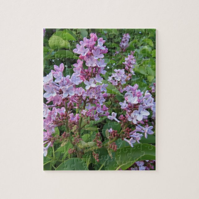 Puzzle Fleurs violettes délicates d'un lilas (Vertical)