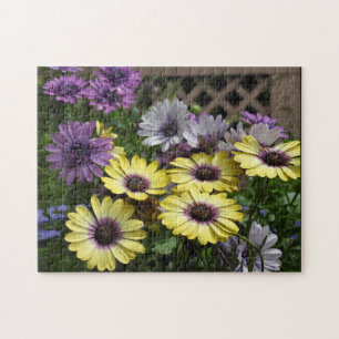 Puzzle Fleurs violettes et jaunes - Marguerites africaine