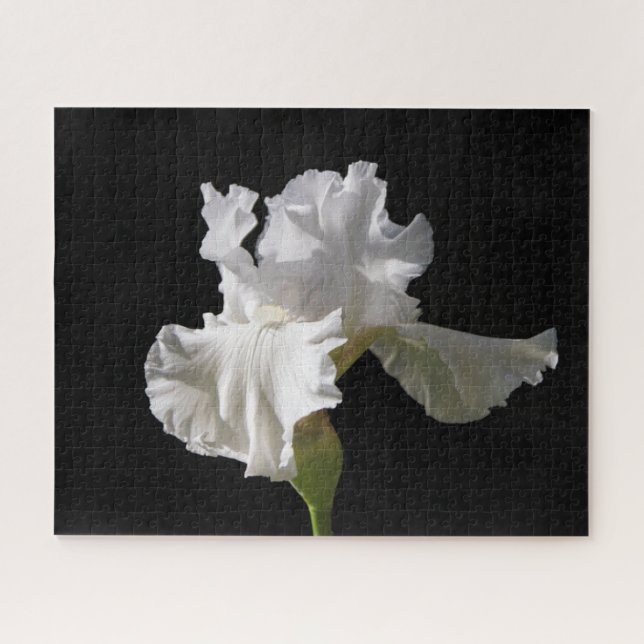 Puzzle Fleurs | White Iris (Horizontal)