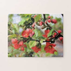 Puzzle Floraison de coing rouge