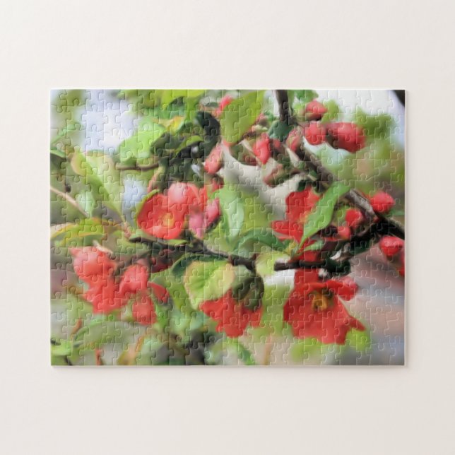 Puzzle Floraison de coing rouge (Horizontal)