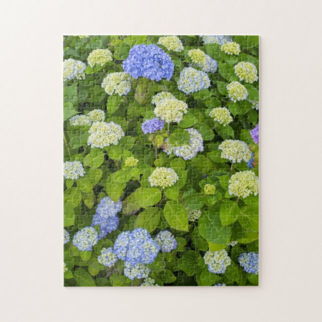 Puzzle Floral Blue Hydrangea Nature Photo (Vertical)