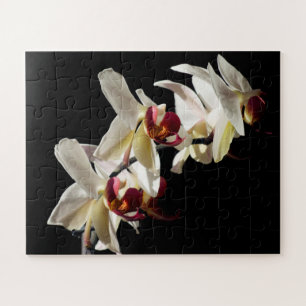 Puzzle Floral Highlights of White Phalaenopsis Orchids