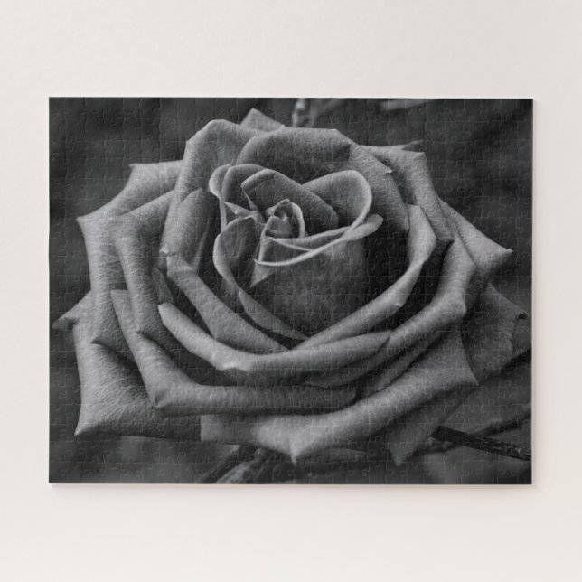 Puzzle floral rose noire et blanche (Horizontal)