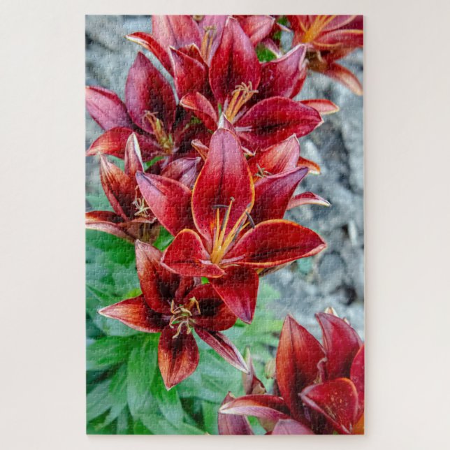Puzzle Floral Stargazer Lily, Fleur canadienne rouge (Vertical)
