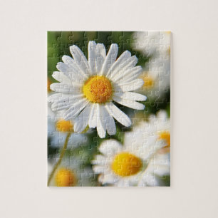 Puzzle Flore blanc de marguerite