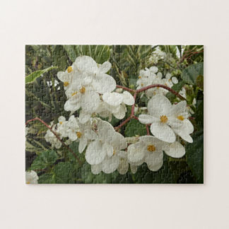 Puzzle Flore de Bégonia blanche tropicale